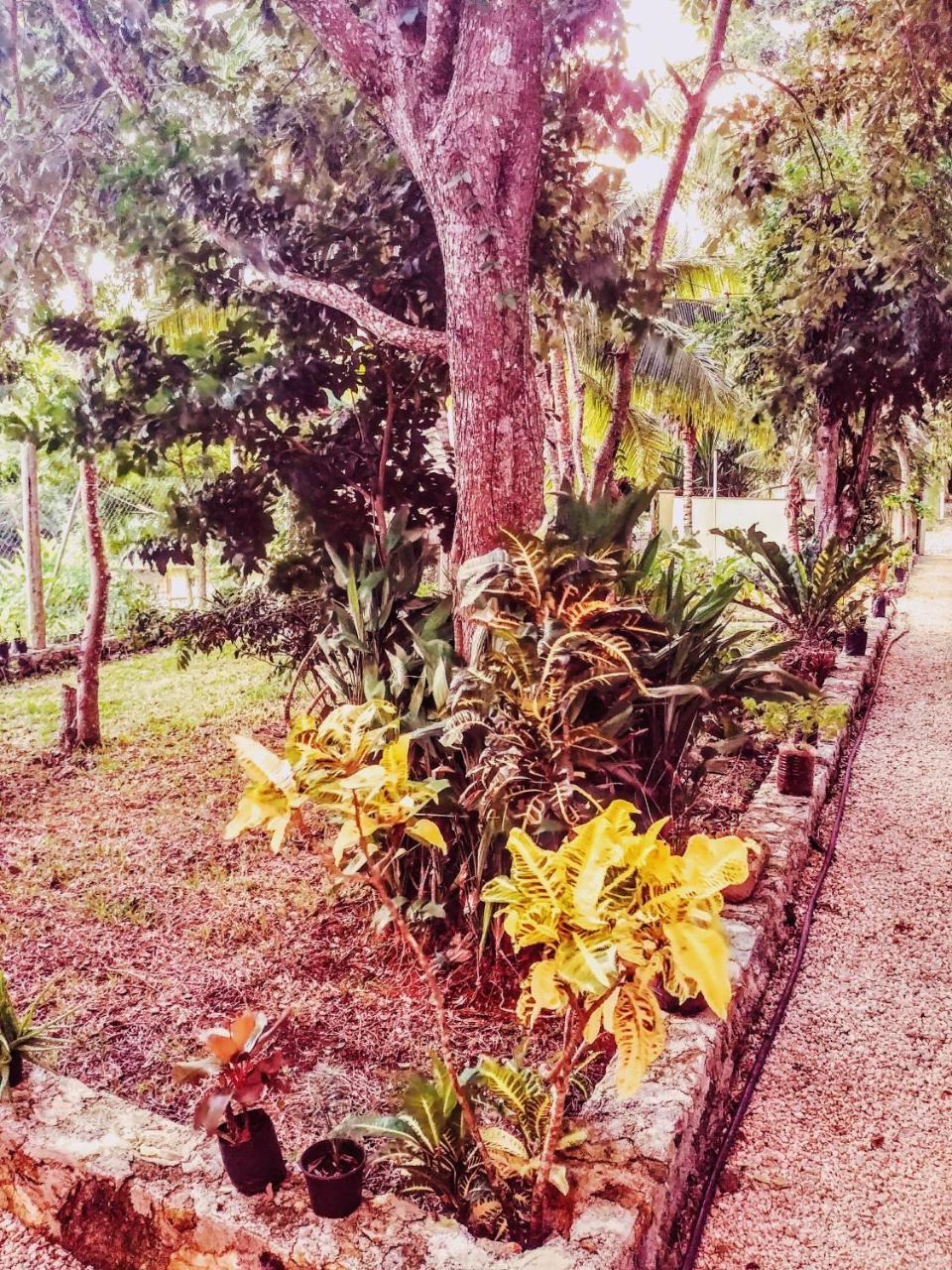 El Roble Nature Hotel & Lagoon Bacalar Kültér fotó